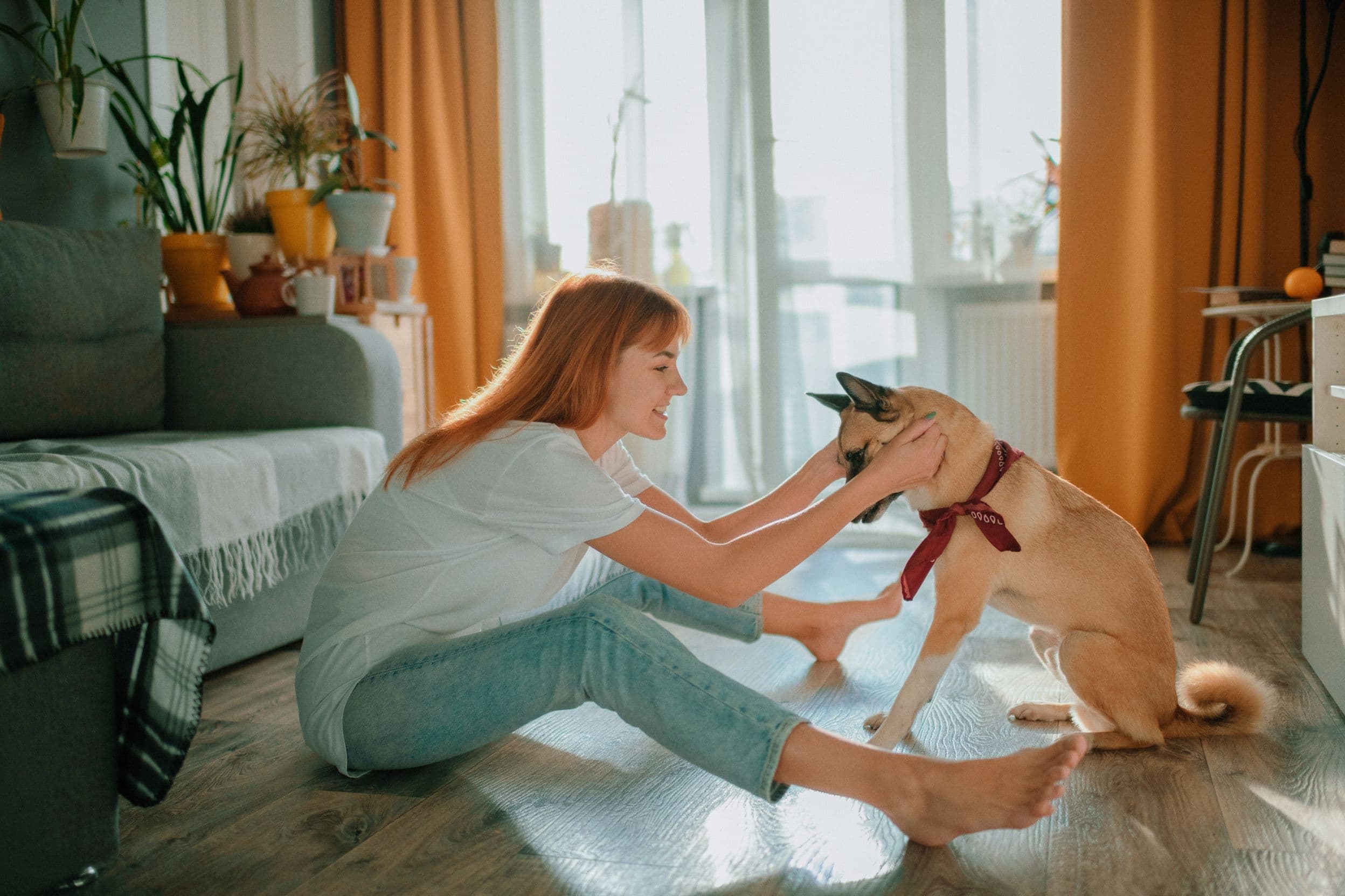 playing with a dog